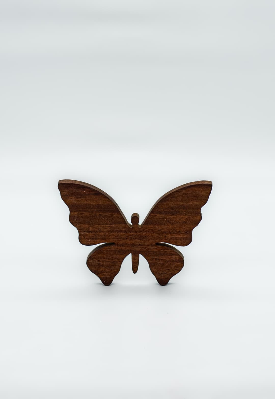 Papillon en bois  cover image