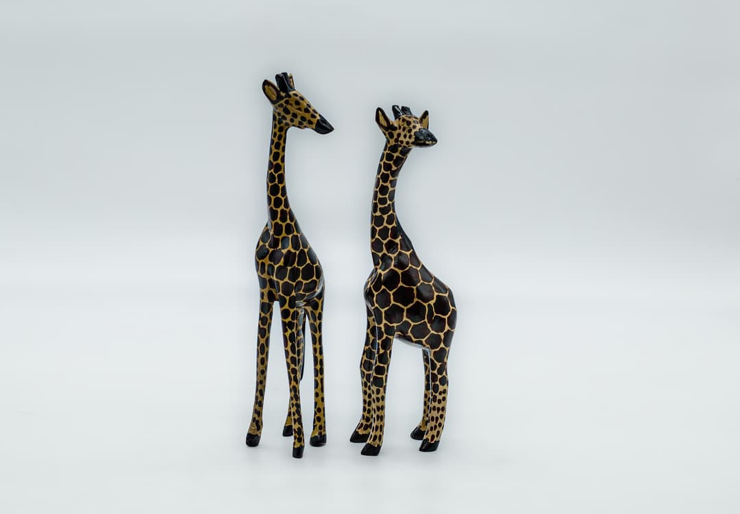 Girafe cover image