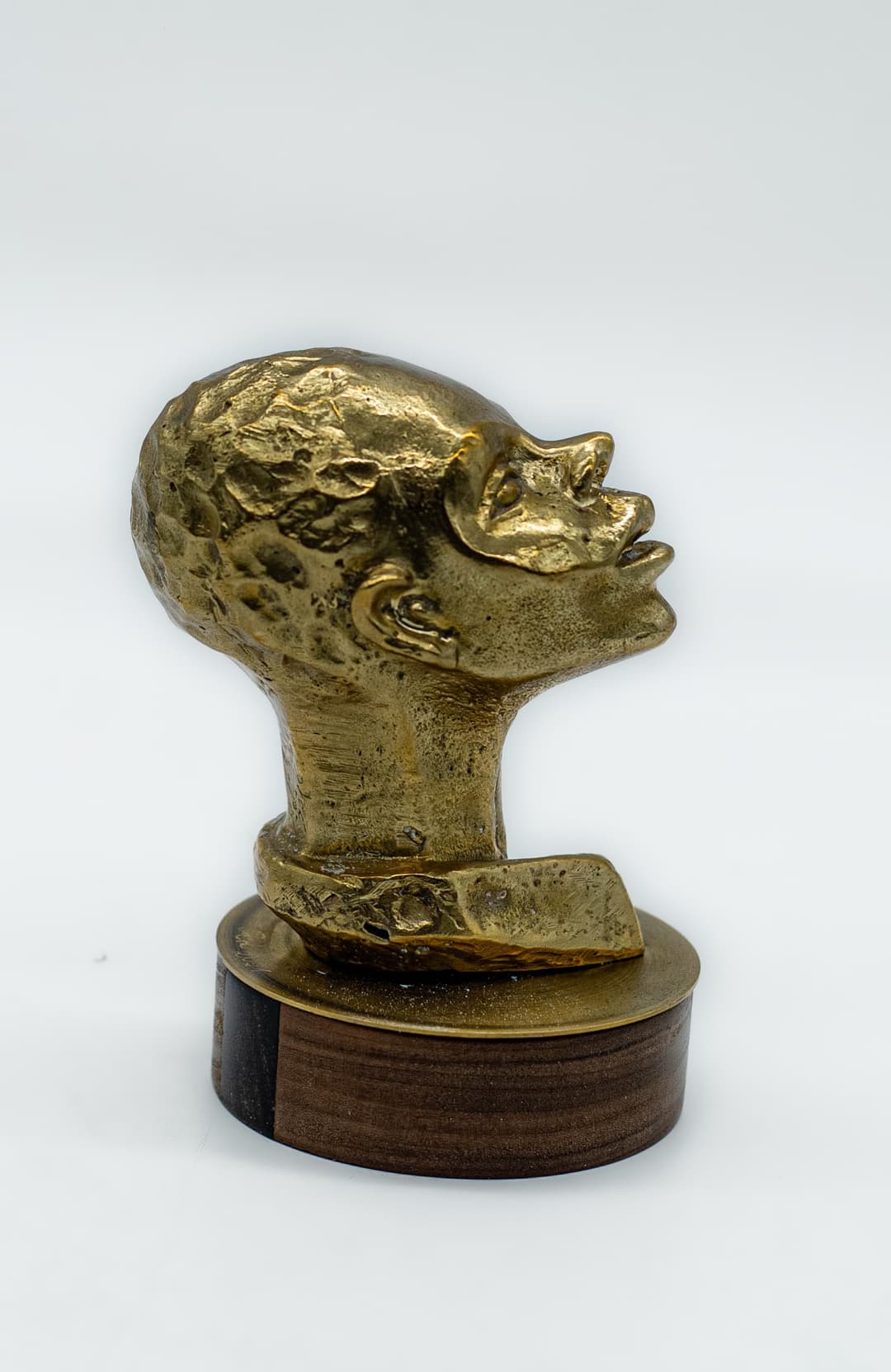 Tête en Bronze cover image